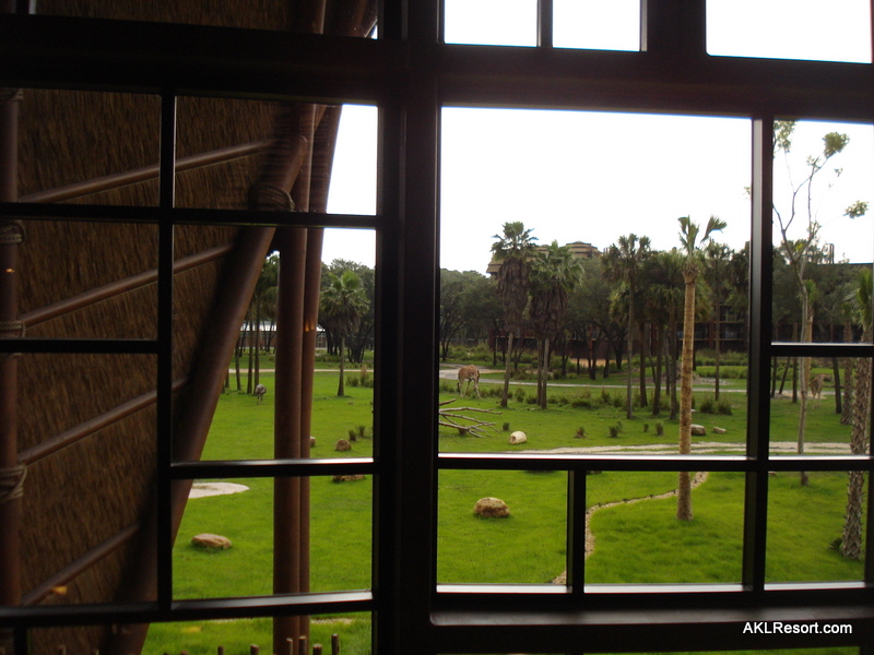 Kidani View